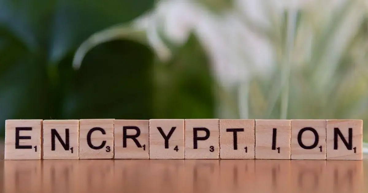 Top career opportunities in cybersecurity: how to land high-growth roles