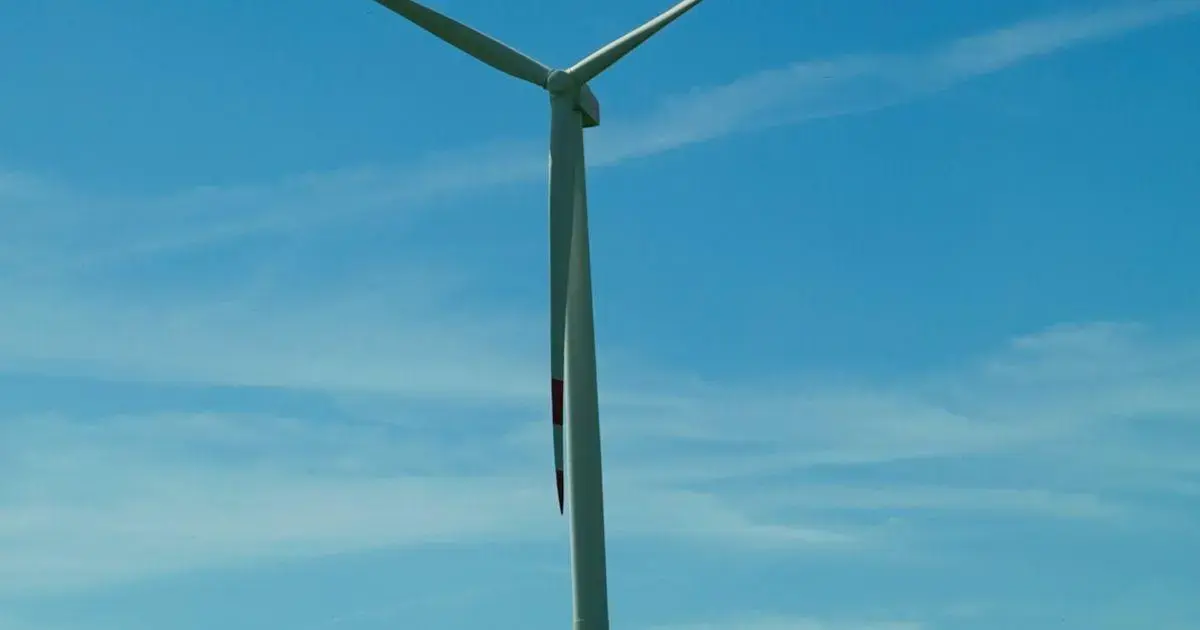 Top Career Opportunities in Renewable Energy and Green Technology: what to know